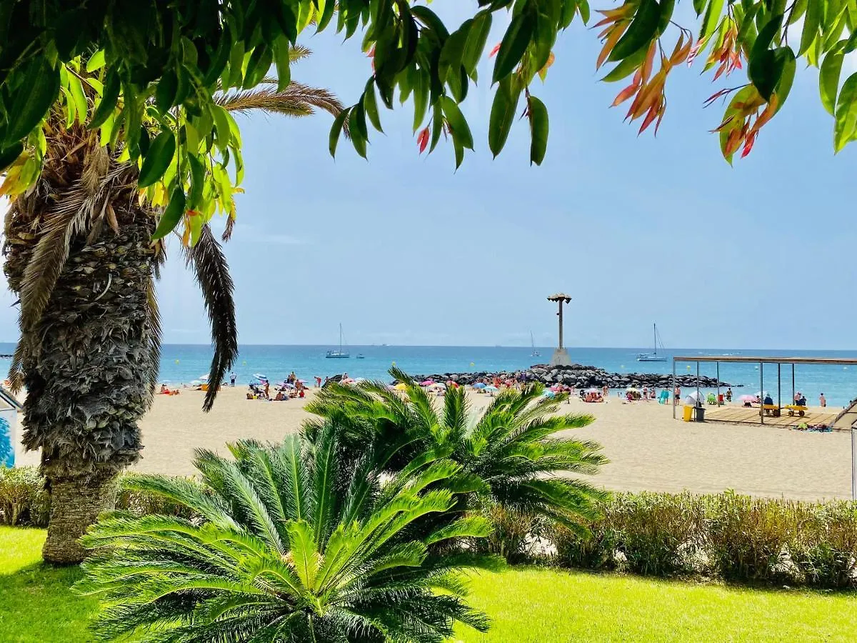 Apartamento San Marino relax Los Cristianos  Los Cristianos (Tenerife)
